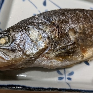 ニジマスの塩焼き